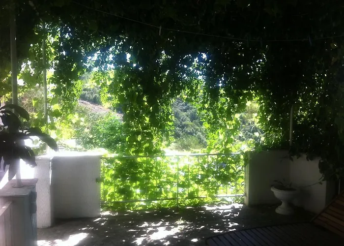 Zarko Apartment Brna